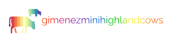 Gimenezminihighlandcows